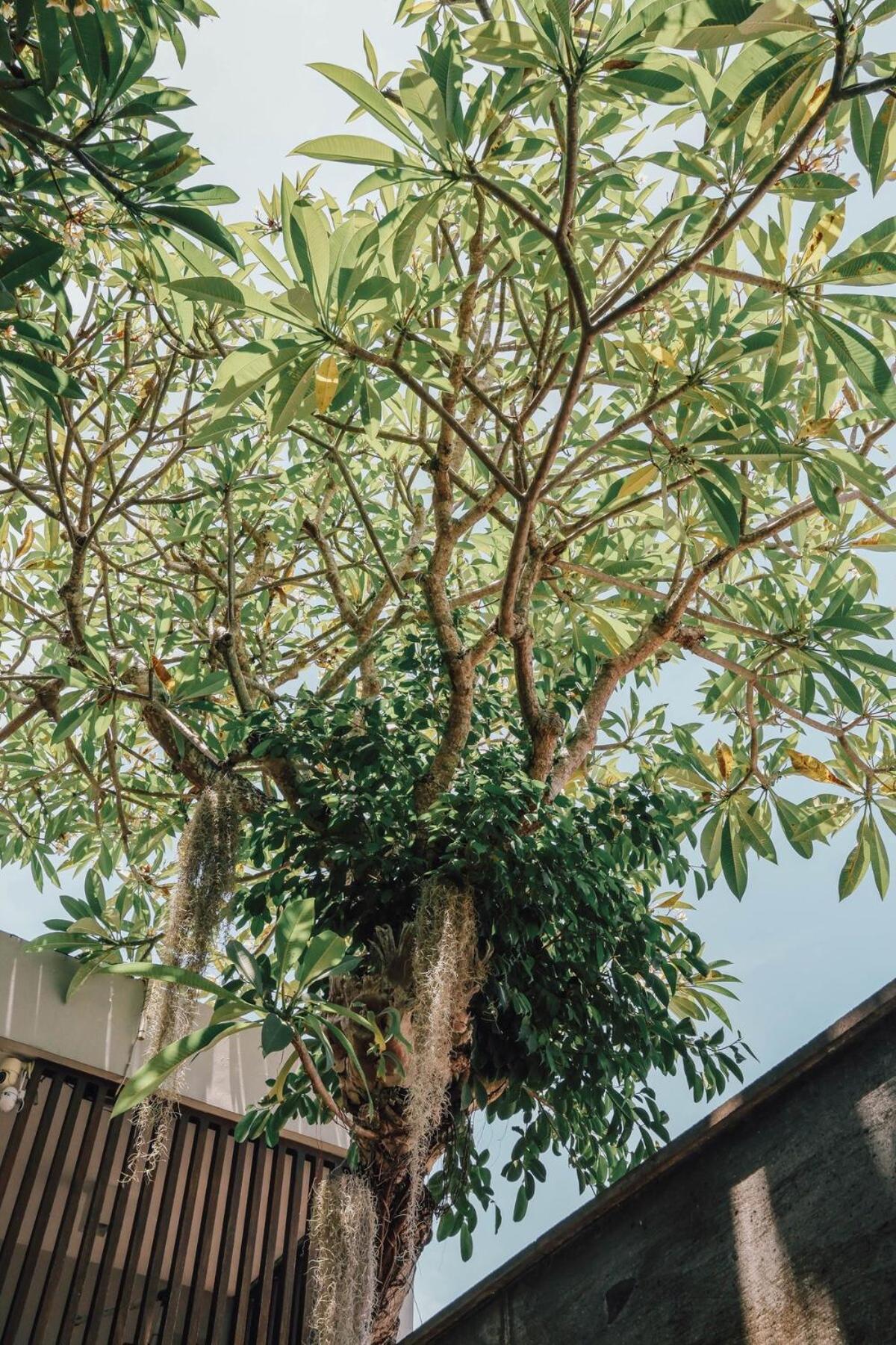 Bali Serenity Villa Nusa Dua (Bali)